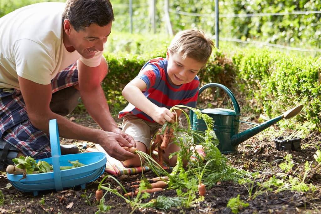 Health Benefits of Gardening and How Does It Relieve