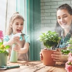 How Gardening Can Help You with Stress Relief